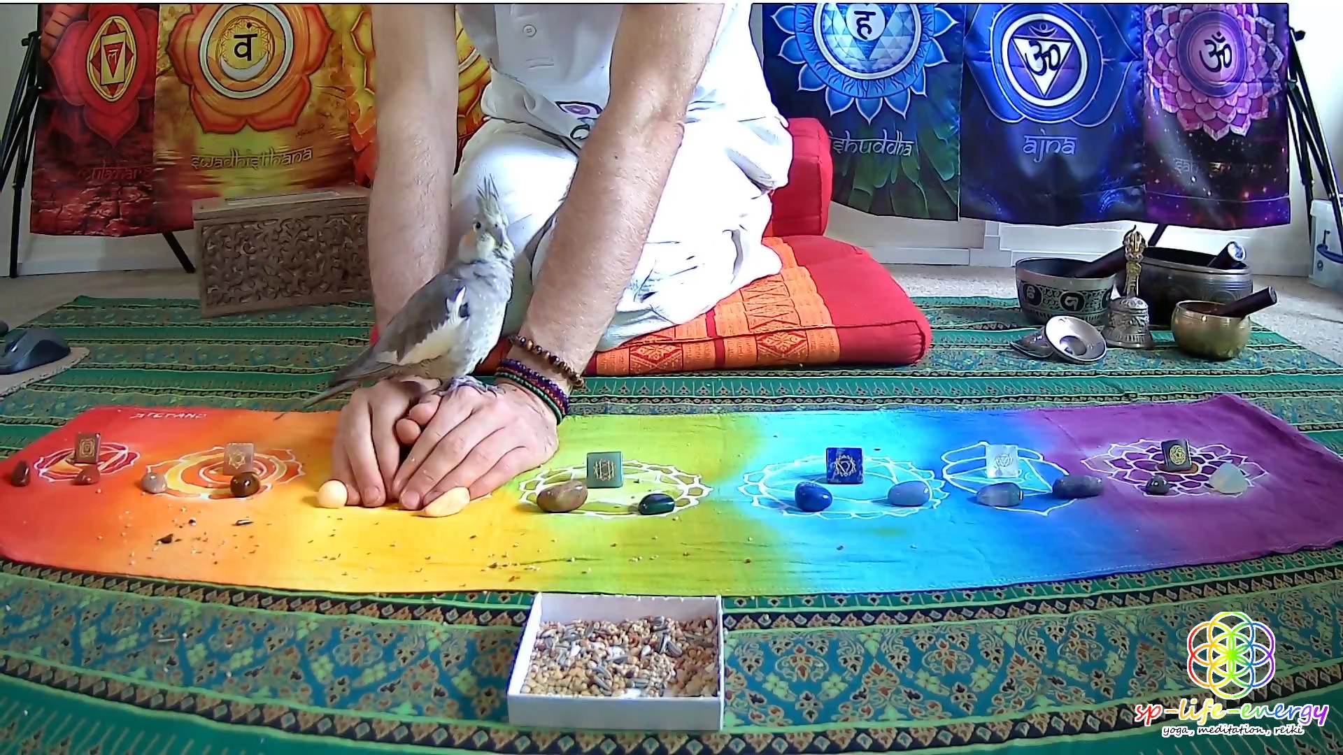 7 Days – 7 Chakras Reiki Healing Meditation photo №2